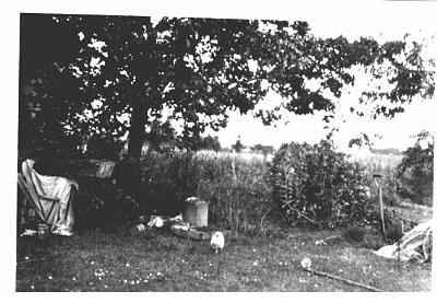 06-BackYard_1950s.jpg - Back Lawn of 274 High Street Dannevirke in 1957