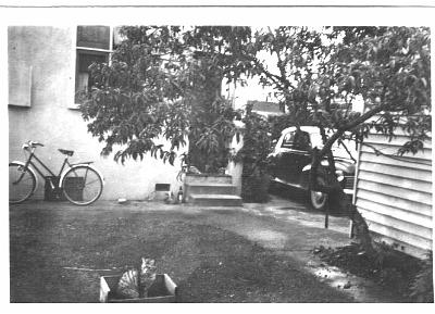 07-BKDoor+Javelin_1950s.jpg - Back Lawn of 274 High Street Dannevirke in 1957
