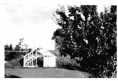 08-GlassHouse@BK.jpg - Glasshouse at  High Street, Dannevirke almost finished in 1957