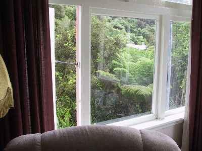 pye016.jpg - The view out the Sitting Room window lots of bush and trees.