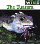 The Tuatara Book Cover