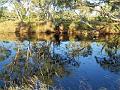 ReflectionsinBreakawayCreek