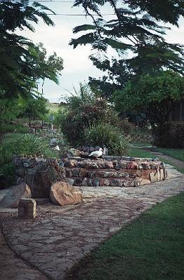 OneleggedduckatCloncurrymuseumgarden.jpg