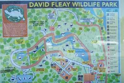 David-Fleay-Wildlife-Park.jpg
