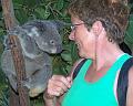 Koala-and-me