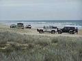 Fraser-Island-traffic