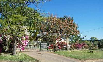 FlowersonThompsonRd.jpg