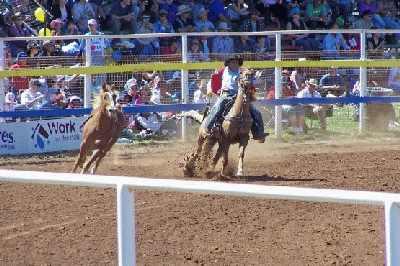Horseontherun.jpg