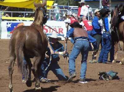 Wildhorsecompetition_saddlingthehorse.jpg