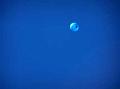 Blueballoon