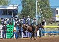 Buckingbronc_3